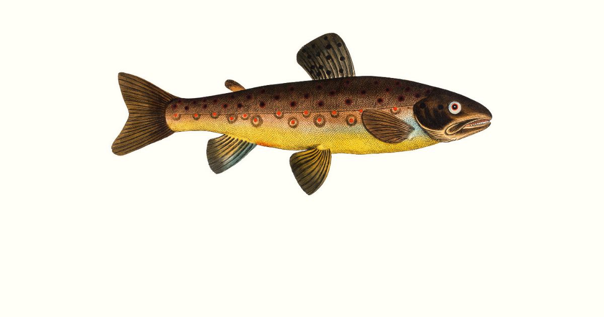 Screenshot of web page.